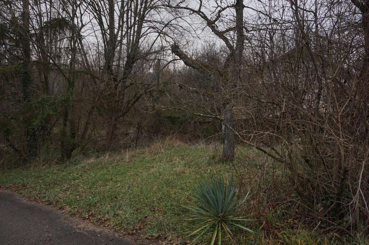 Photo 2 - Terrain à BESANCON