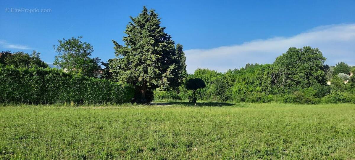 Terrain à MAZAN