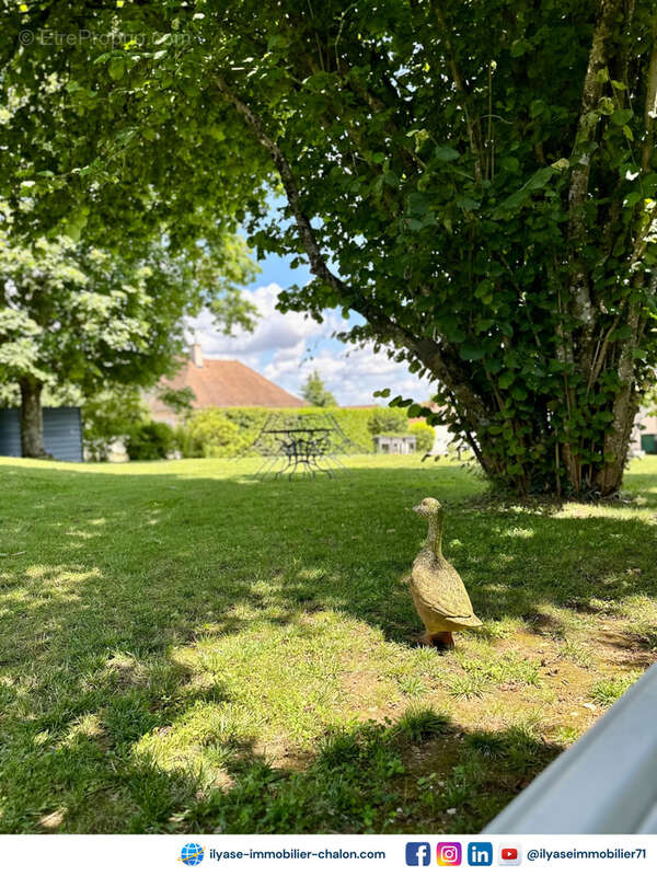 Maison à CHALON-SUR-SAONE