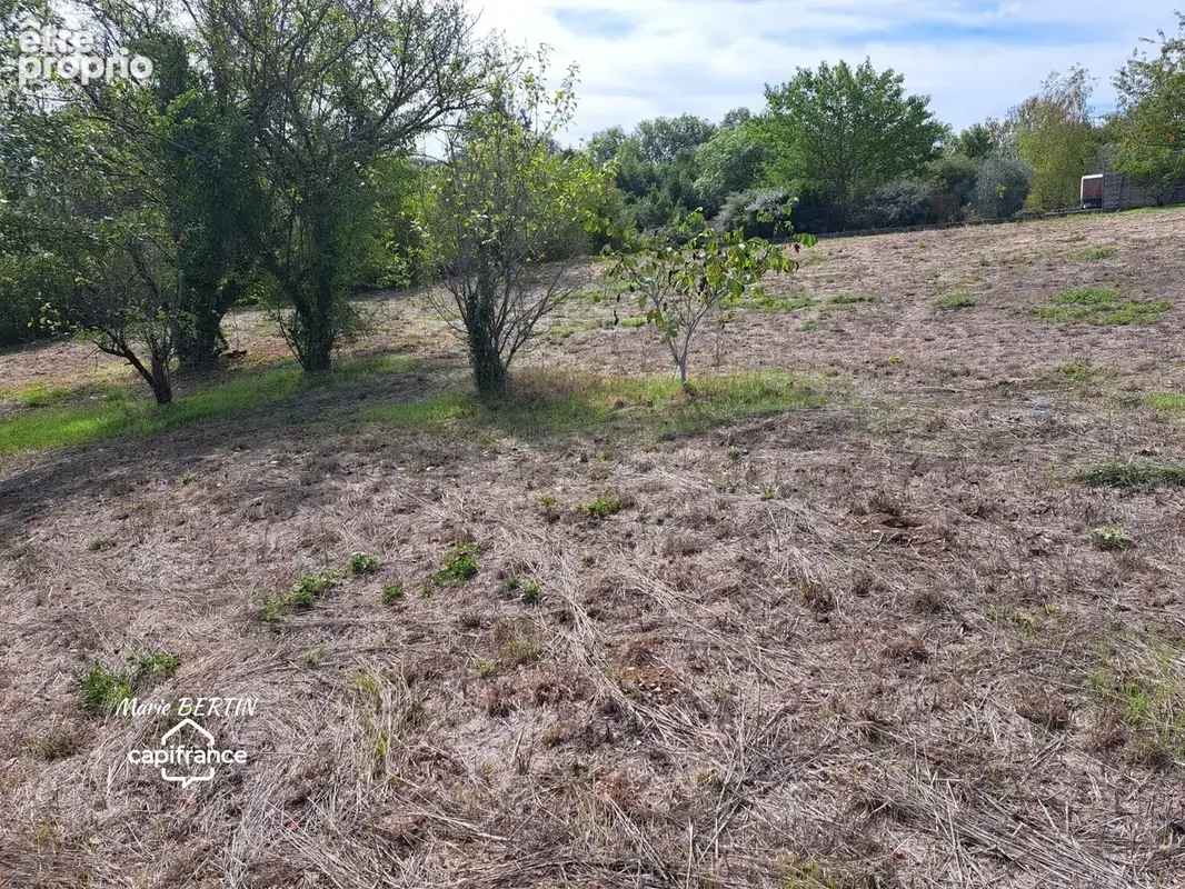 Terrain à vendre  CELLES SUR BELLE (79) - photo 3
