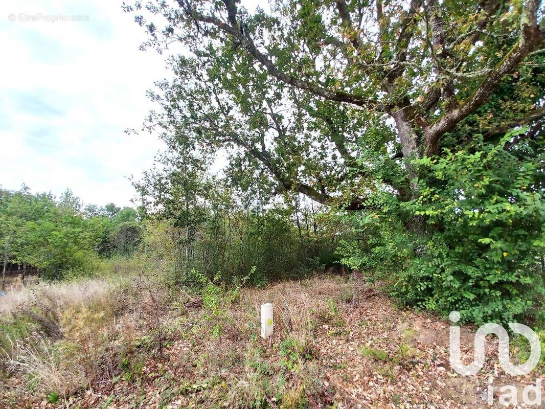 Photo 1 - Terrain à BON-ENCONTRE