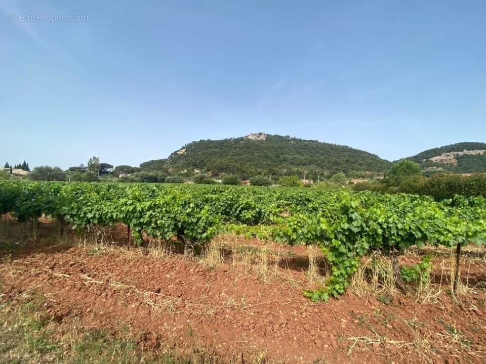 Terrain à GONFARON