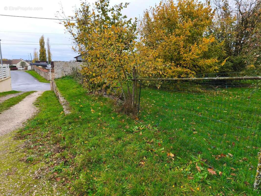 Photo 2 - Terrain à ROUVRES-EN-MULTIEN