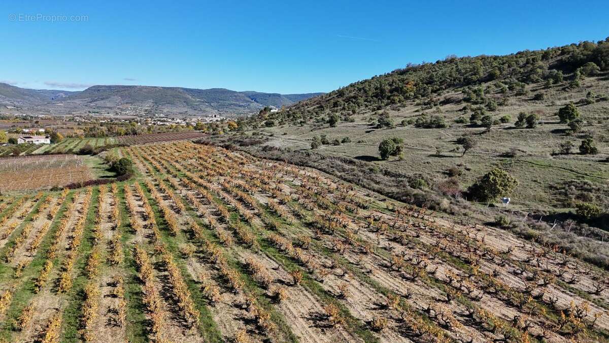 Appartement à ALBA-LA-ROMAINE
