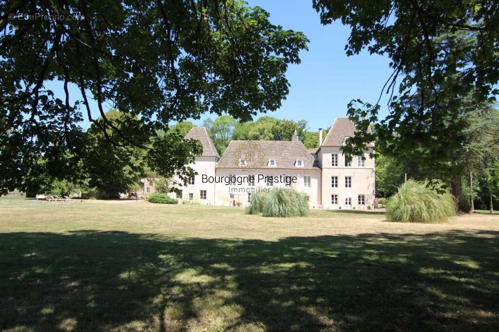 Chateau de caractere aux racines medievales entre patrimoine et art de vivre bourguignon - photo 2