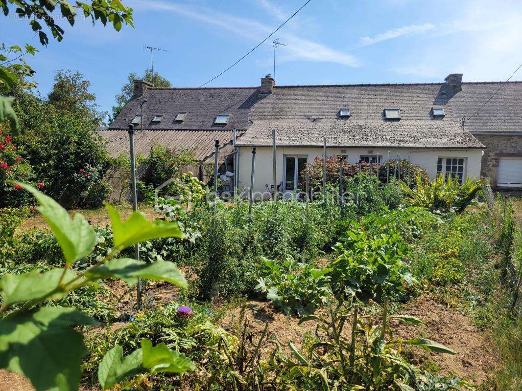 Maison en pierre de caractère avec grand terrain, dépendances et jardin nourricier - photo 12