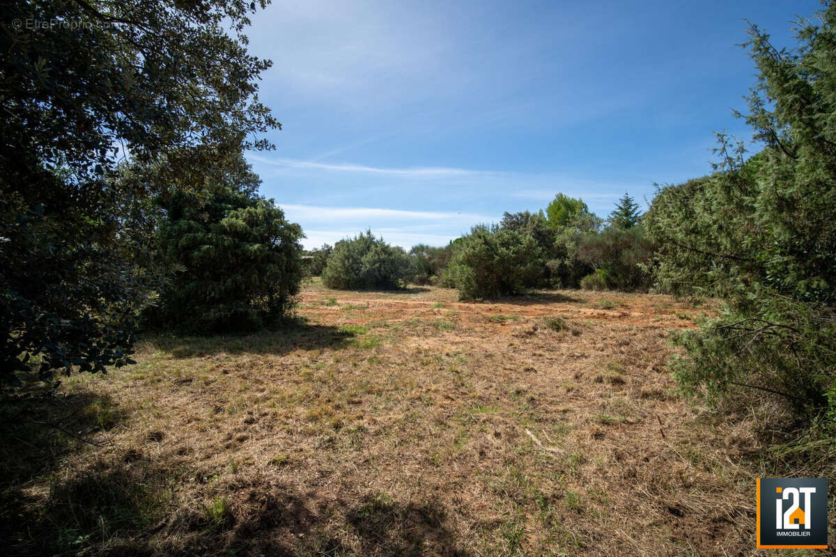 Terrain à SAINT-SIFFRET