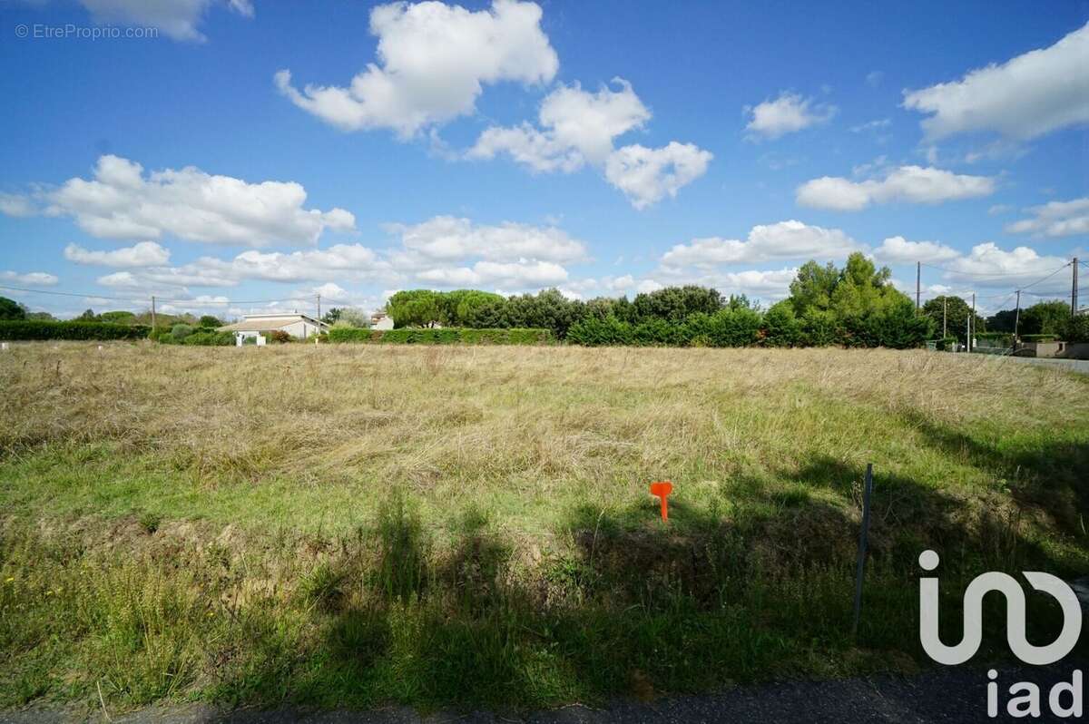 Photo 2 - Terrain à LARRA