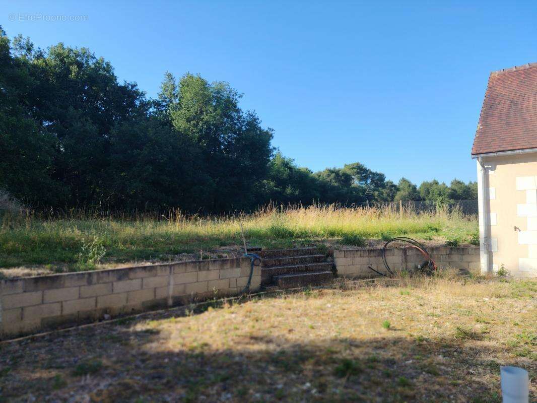 Propriété de caractère avec dépendances, piscine et maison r - photo 17