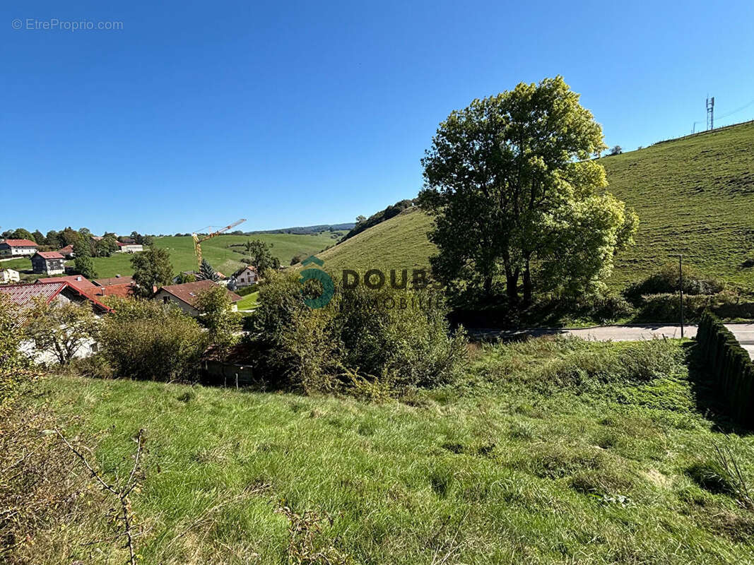 Terrain à GUYANS-VENNES