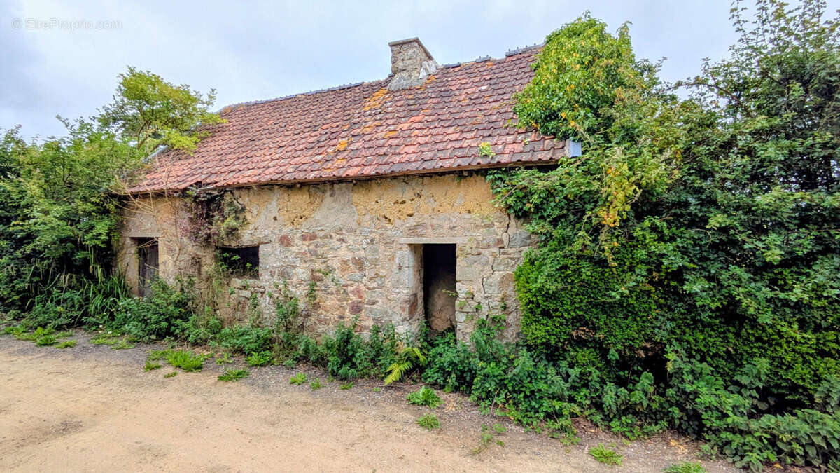 MAISON et gîtes su - GITES - Installations EQUESTRES - photo 17