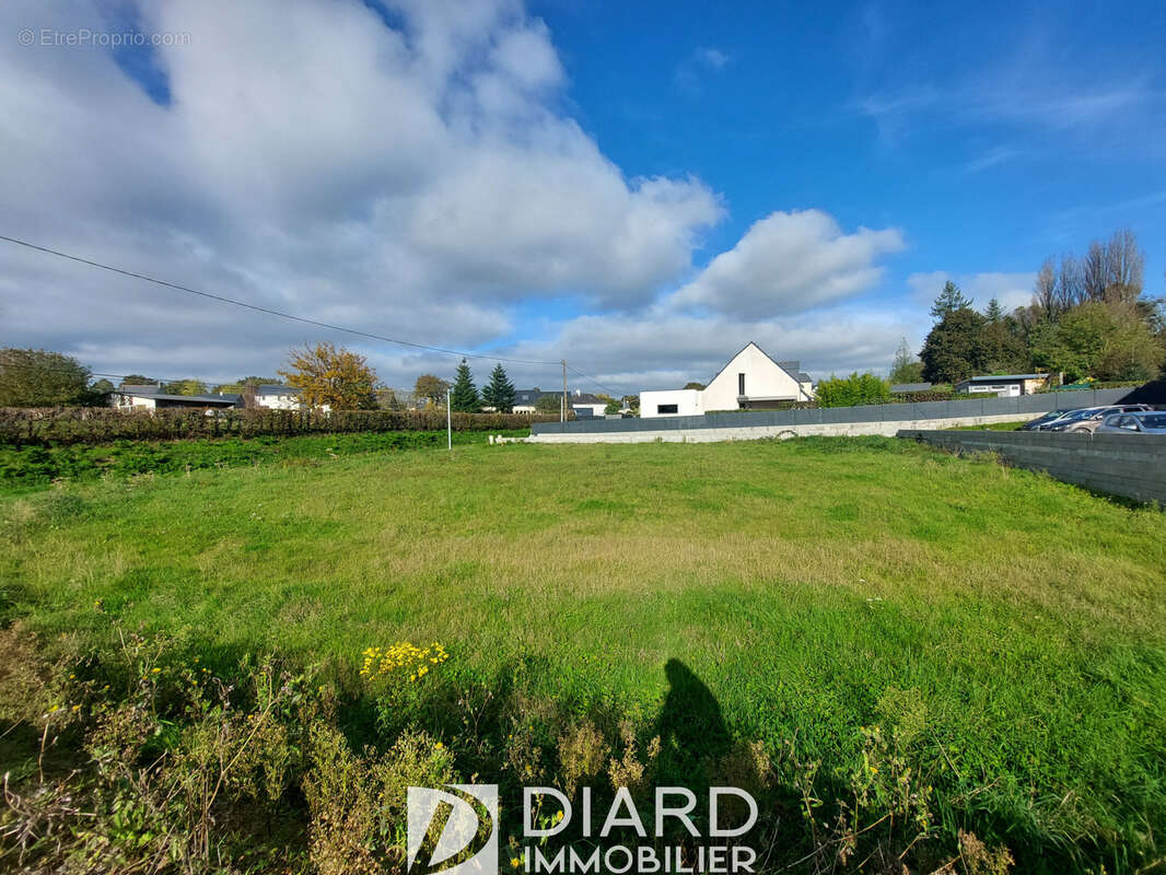 Terrain à LE PERTRE