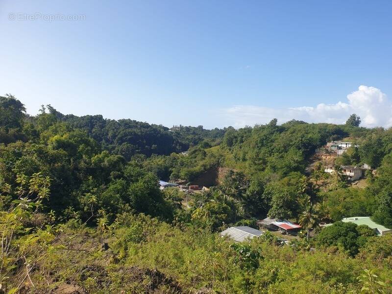 Terrain à LE GOSIER