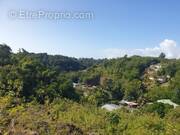 Terrain à LE GOSIER