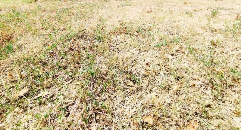 Terrain à MONTPELLIER