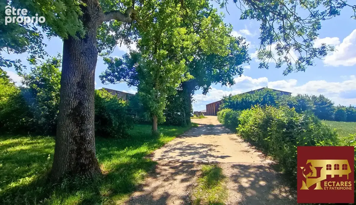 Propriété agricole 48 hectares - photo 16
