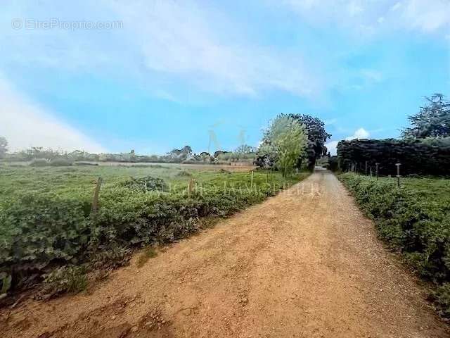 Terrain à LANSARGUES