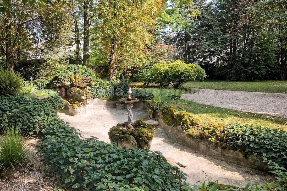 Bassin - Maison à BRUNOY