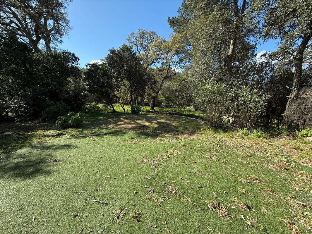 Maison à PORTO-VECCHIO