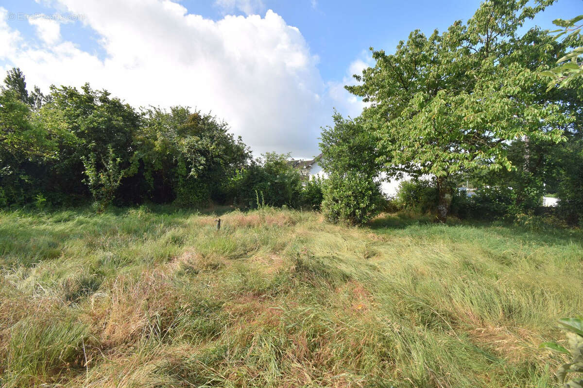 Terrain à LE PELLERIN