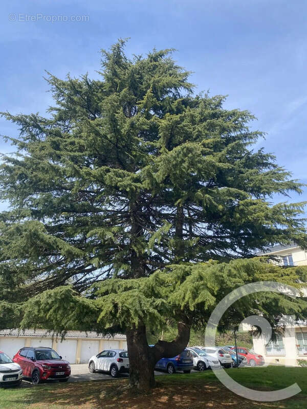 Appartement à BERNAY