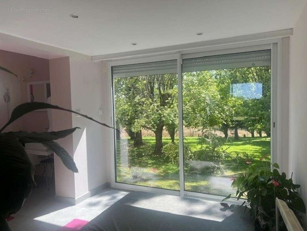 Maison 126 m² à Montauriol  - photo 6