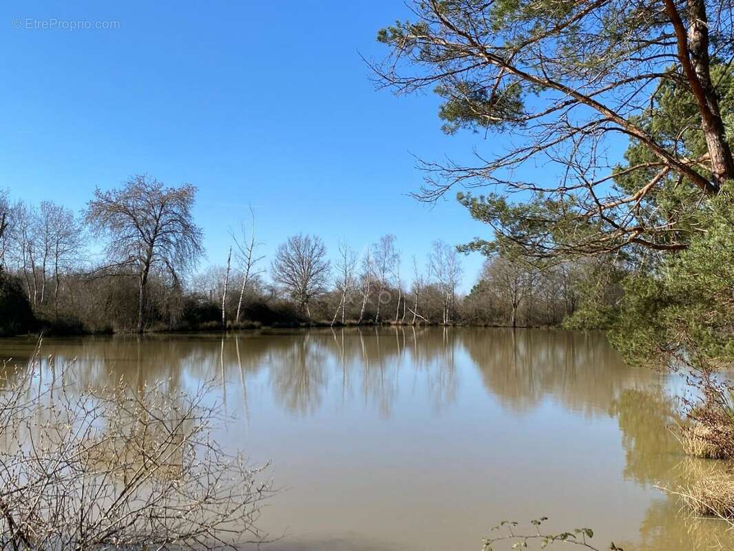 Terrain à SAINT-BRISSON-SUR-LOIRE
