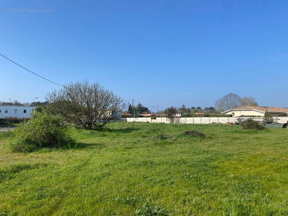 Terrain à SAINT-MEDARD-EN-JALLES