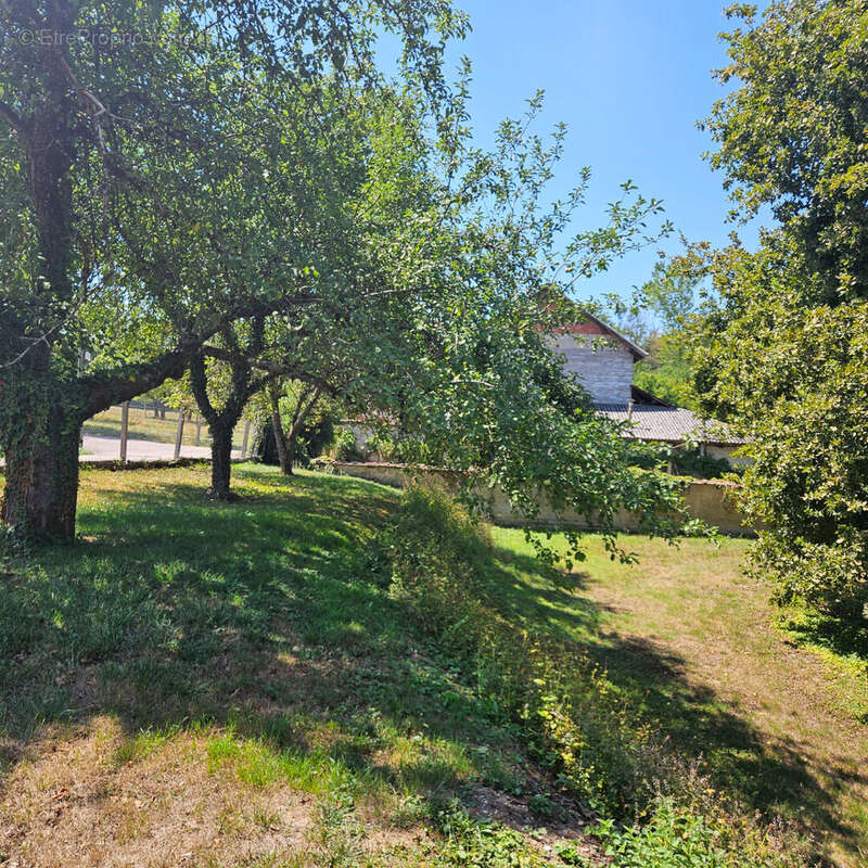 Terrain  Constructible Saint Jean D Avelanne 638 m2 - photo 3