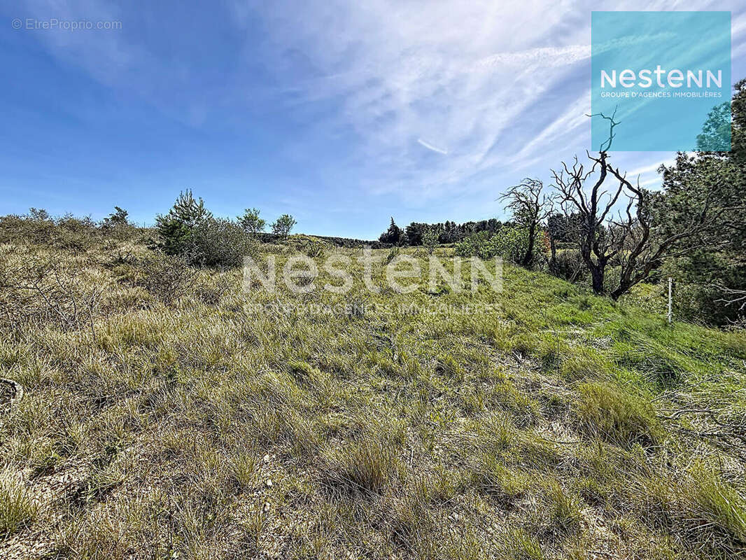 Terrain à SIGEAN