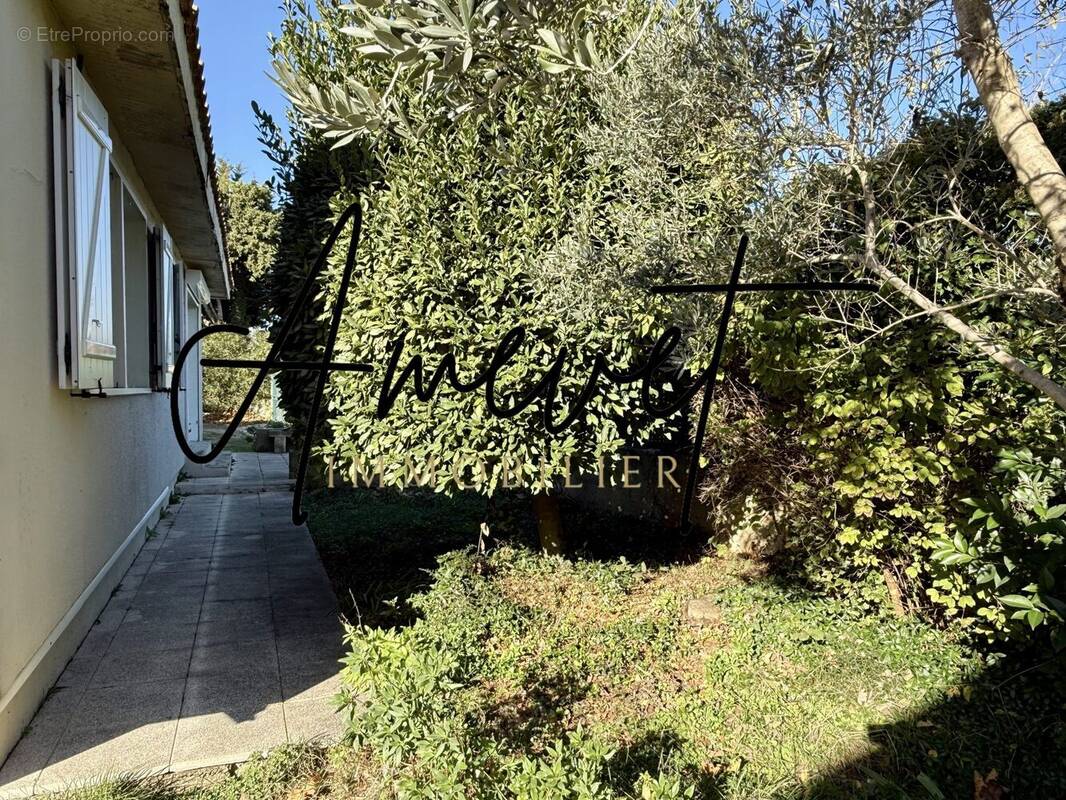 Maison à JONQUERETTES