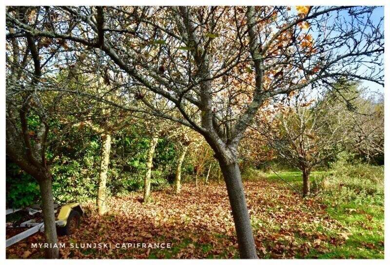 Maison à RIVIERE-SAAS-ET-GOURBY
