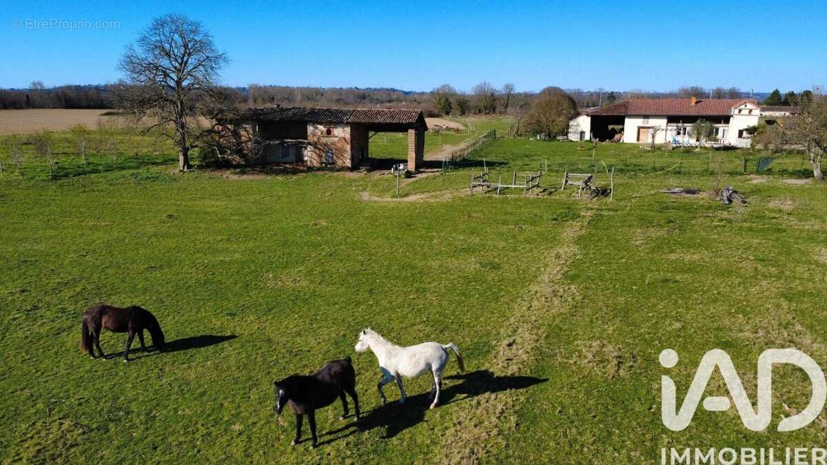 Photo 2 - Maison à CASTELSARRASIN