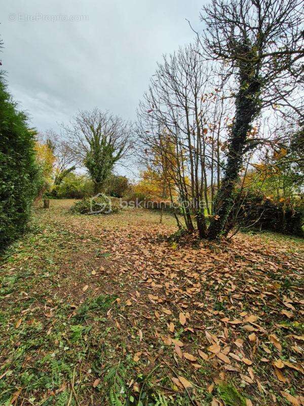 Maison à BERTEAUCOURT-LES-DAMES