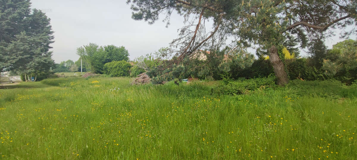 Terrain à SAINT-JUST-LE-MARTEL