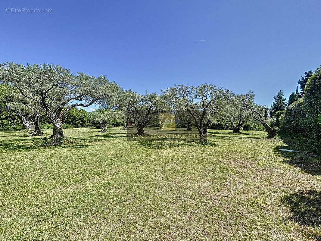 Sur les haureurs de pernes terrain a batir 1100m² - photo 5