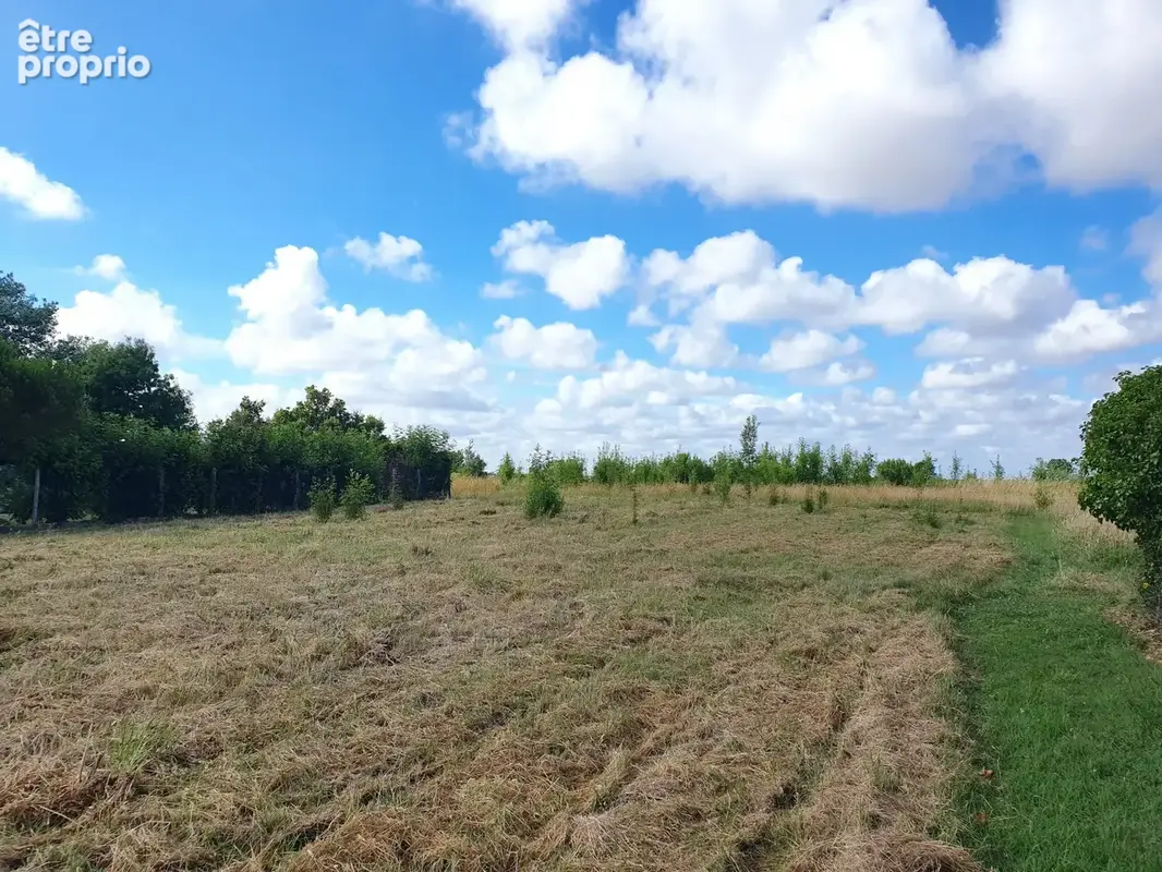 Terrain 1 163 m² à vendre à Saint-Georges-De-Didonne (17110) - photo 2