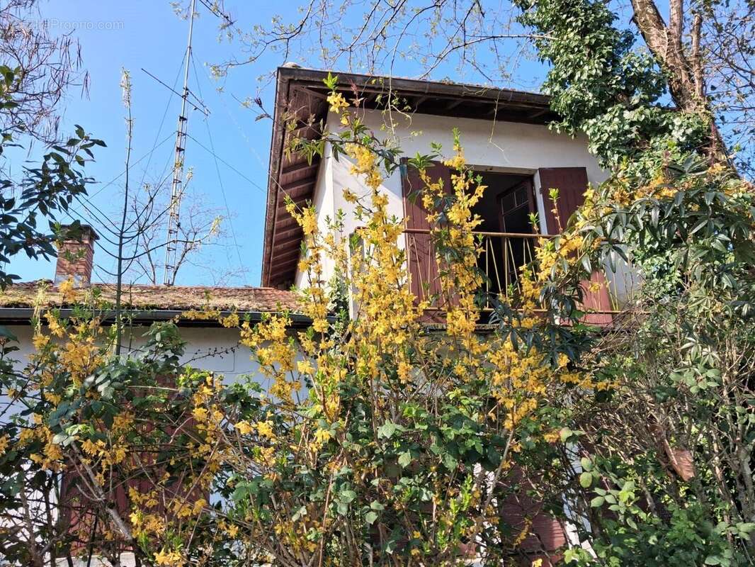 Maison à ANDERNOS-LES-BAINS