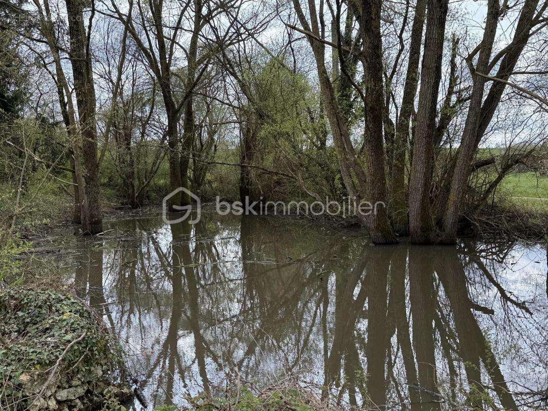 Grande longère avec dépendances sur parcelle de 4700 m² – Nogent-le-Bernard (35 min du Mans) - photo 18