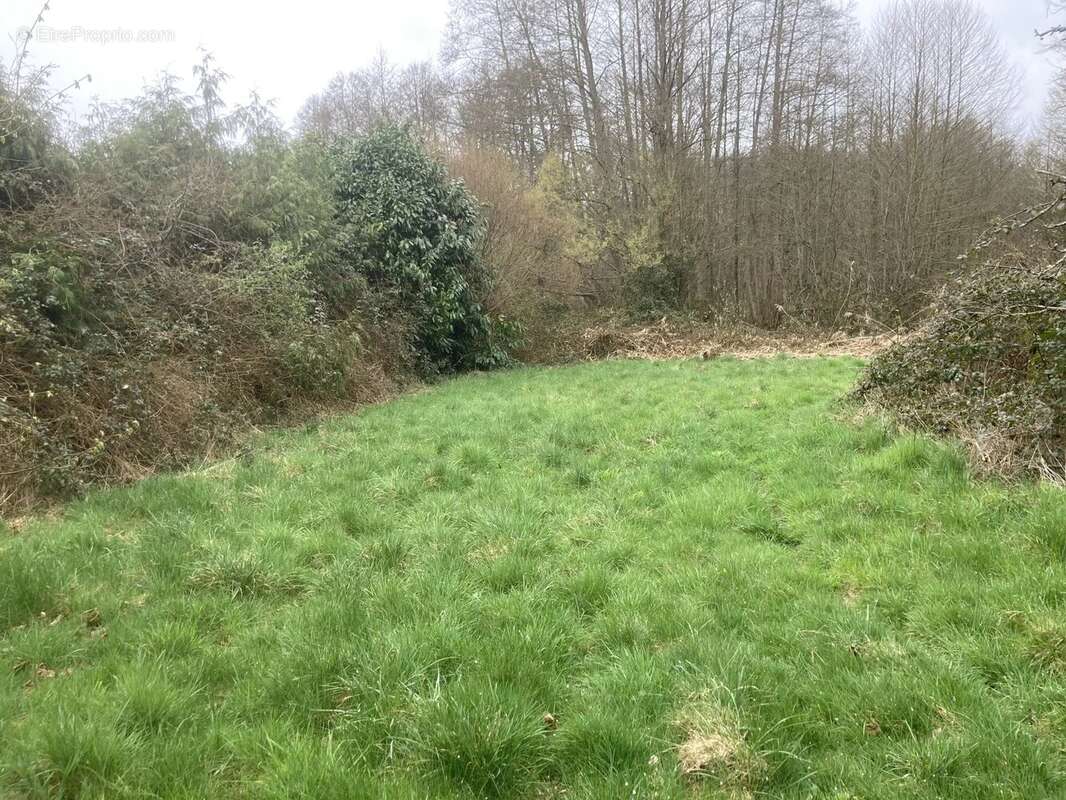 Terrain à RAIZEUX