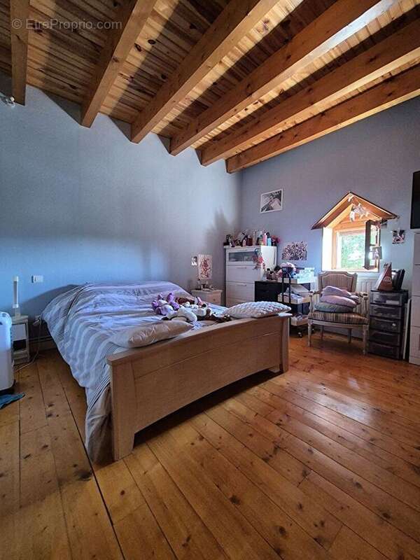 Maison atypique 151m²  - 3 chambres - terrain 2900m² - photo 9