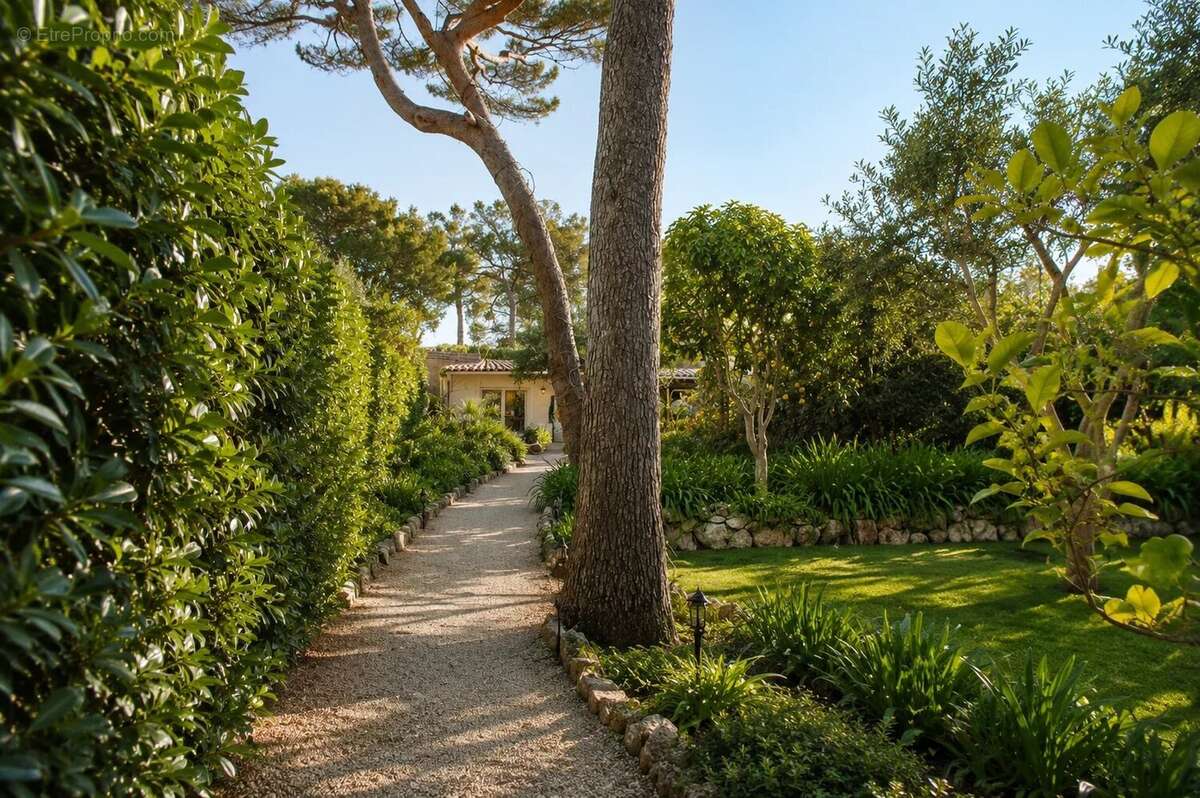 Saint jean cap ferrat - villa 7p 250m²  piscine  studio independant - photo 5