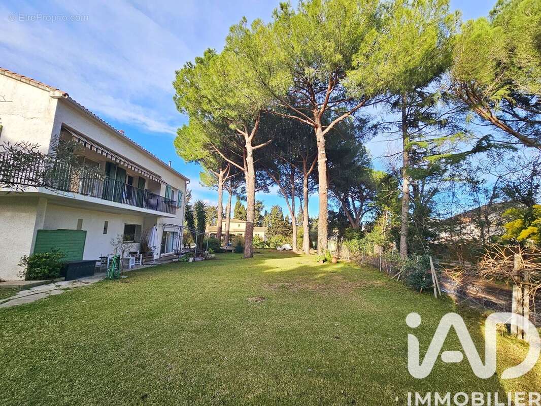 Photo 6 - Maison à PERPIGNAN