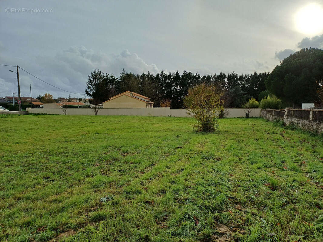 Photo 2 - Terrain à FONTENAY-LE-COMTE