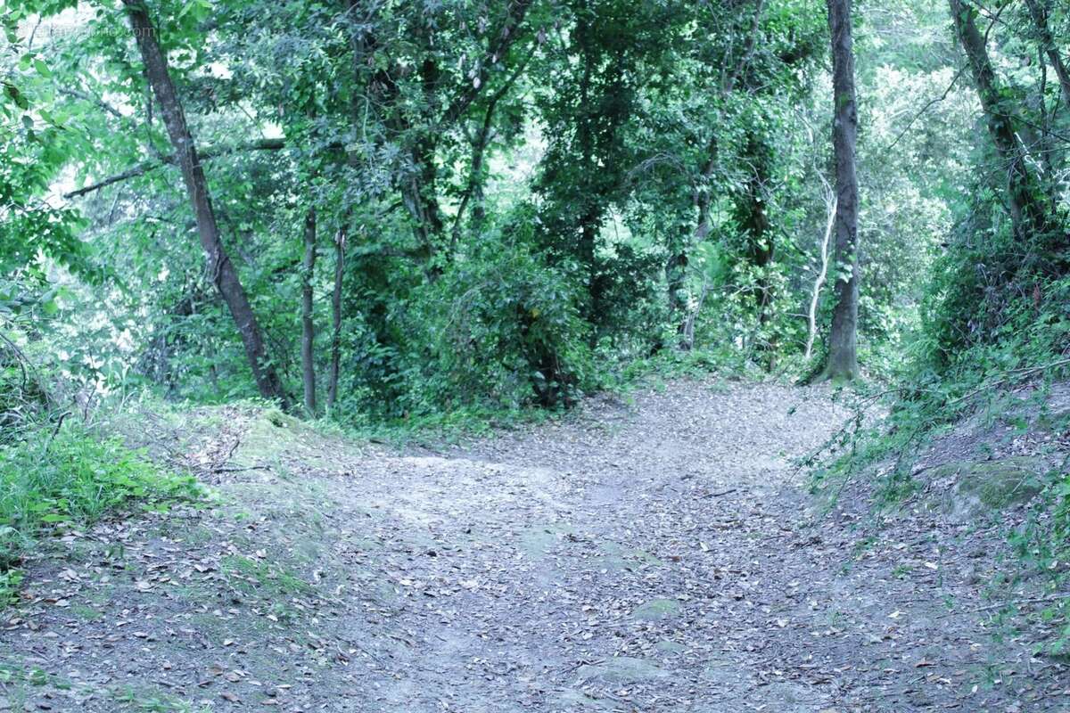 Terrain à SAINTE-AGNES