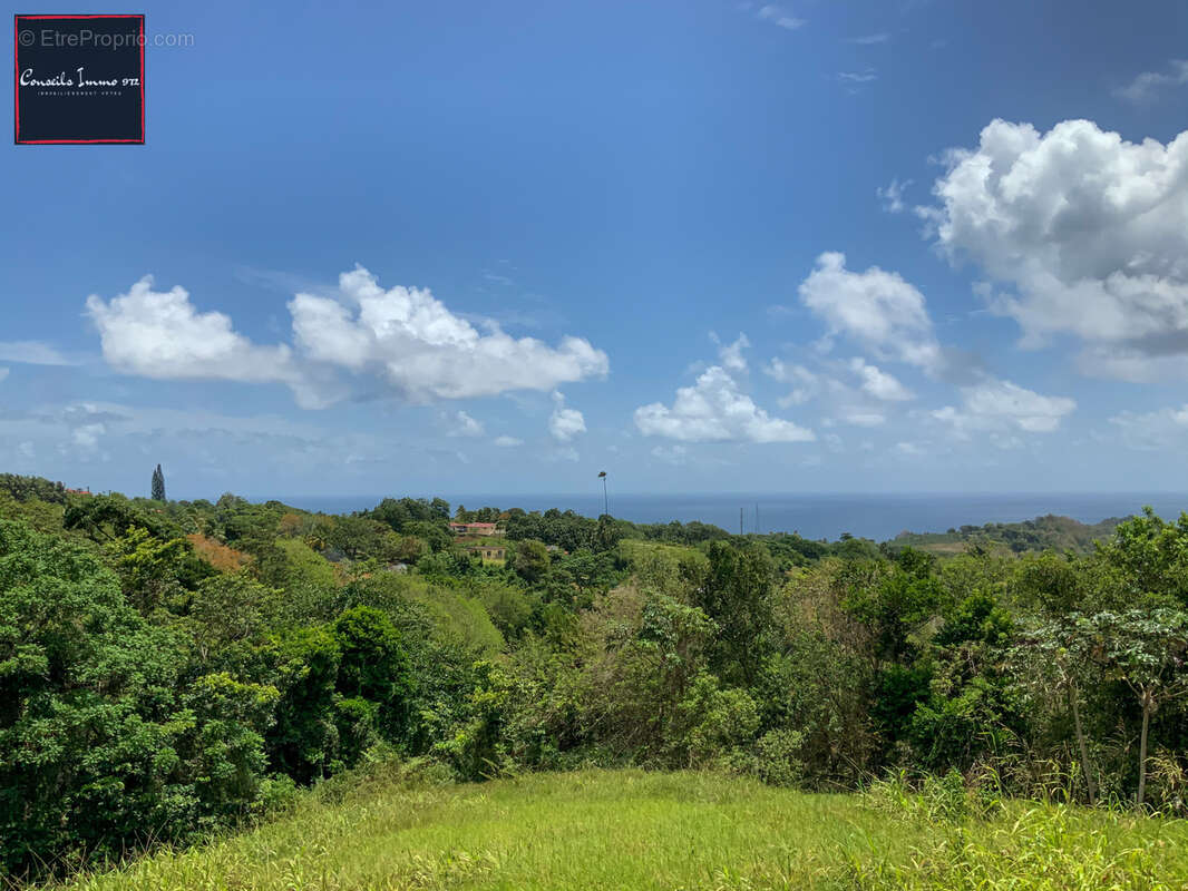 Terrain à SAINTE-MARIE