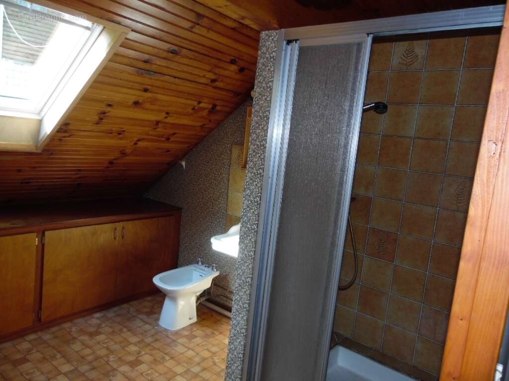 Maison 140 m² à Moussey  - photo 13