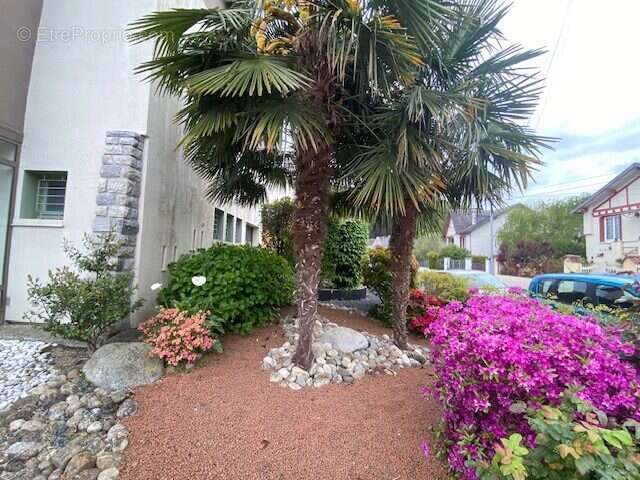 Commerce à BAGNERES-DE-BIGORRE