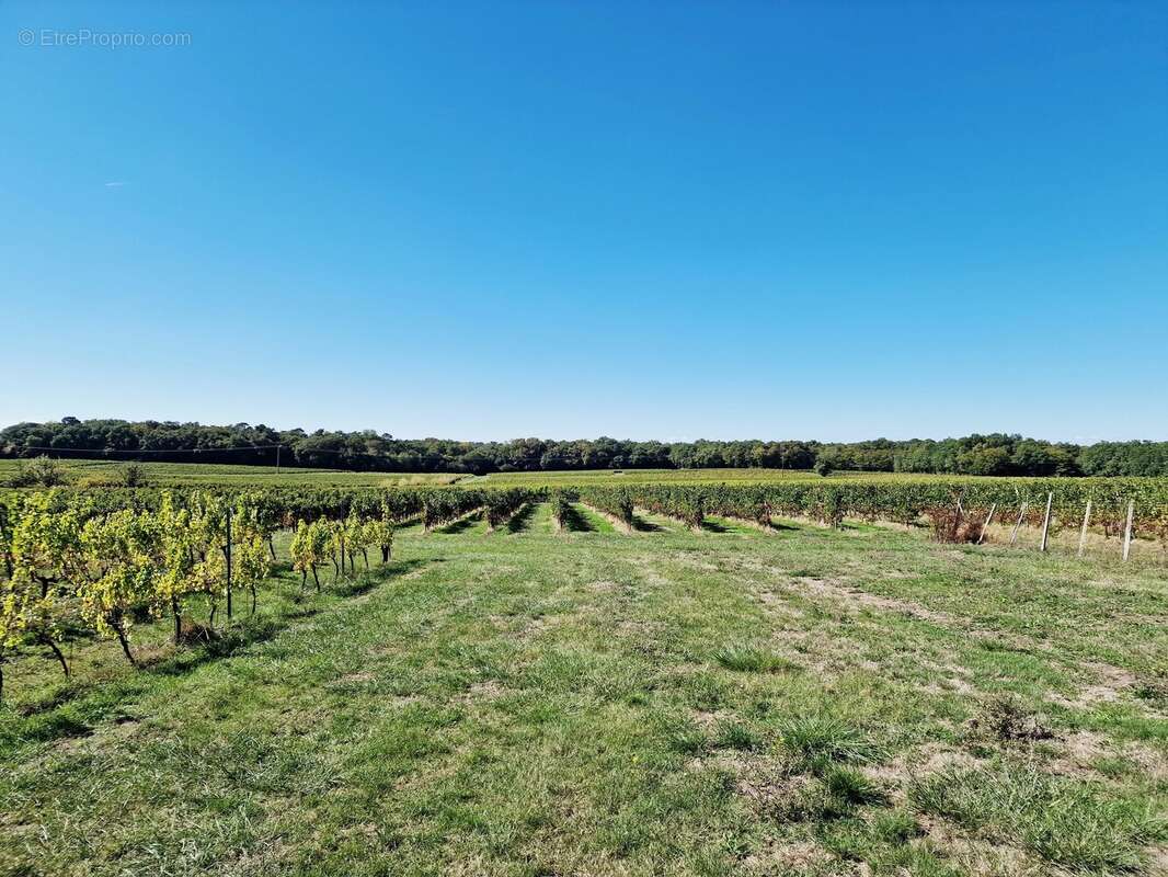 Maison à SAUVETERRE-DE-GUYENNE