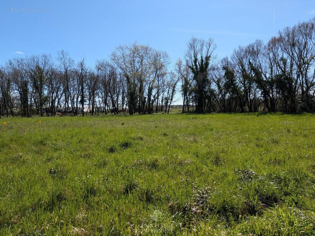 Terrain à MURET